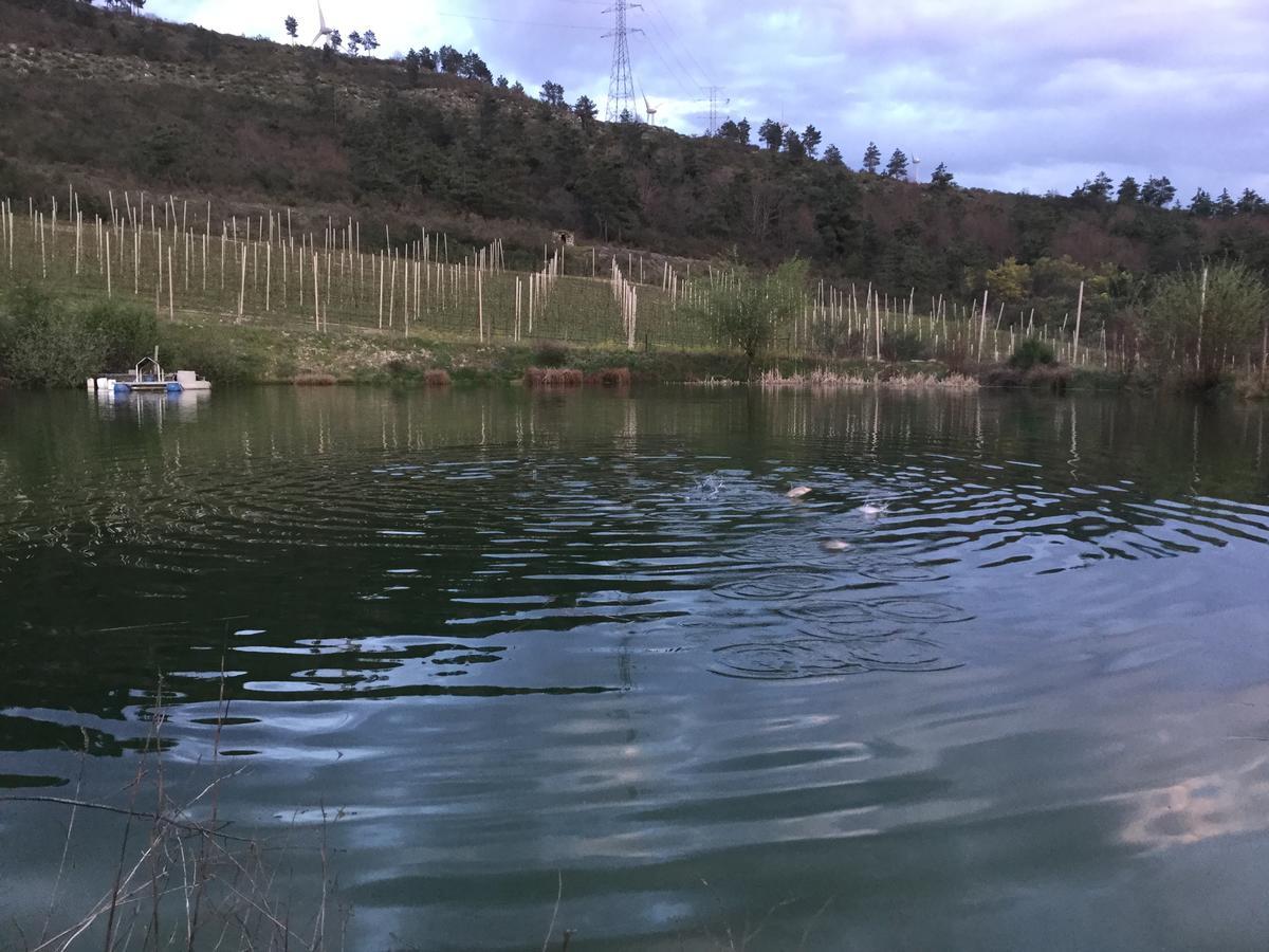 Quinta Bemboa Turismo Espaco Rural Aricera Luaran gambar