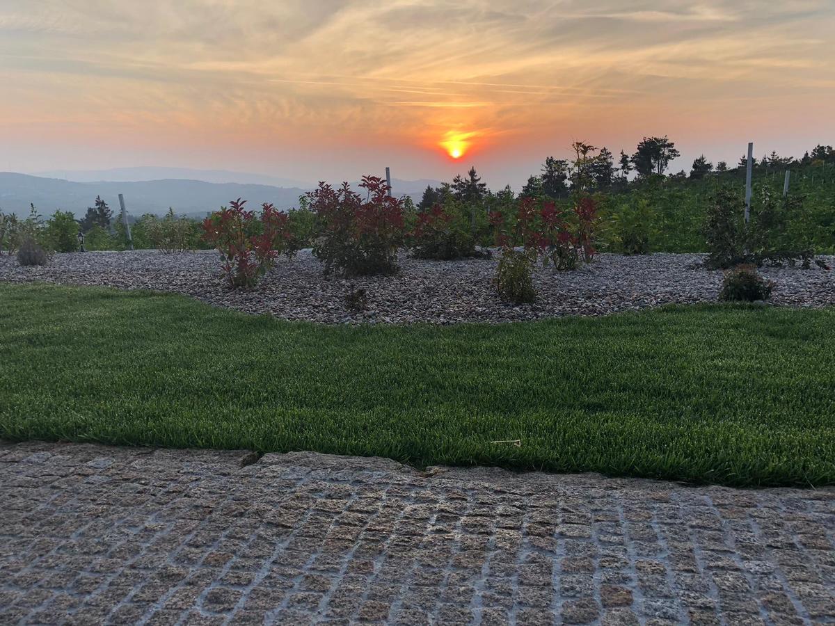 Quinta Bemboa Turismo Espaco Rural Aricera Luaran gambar