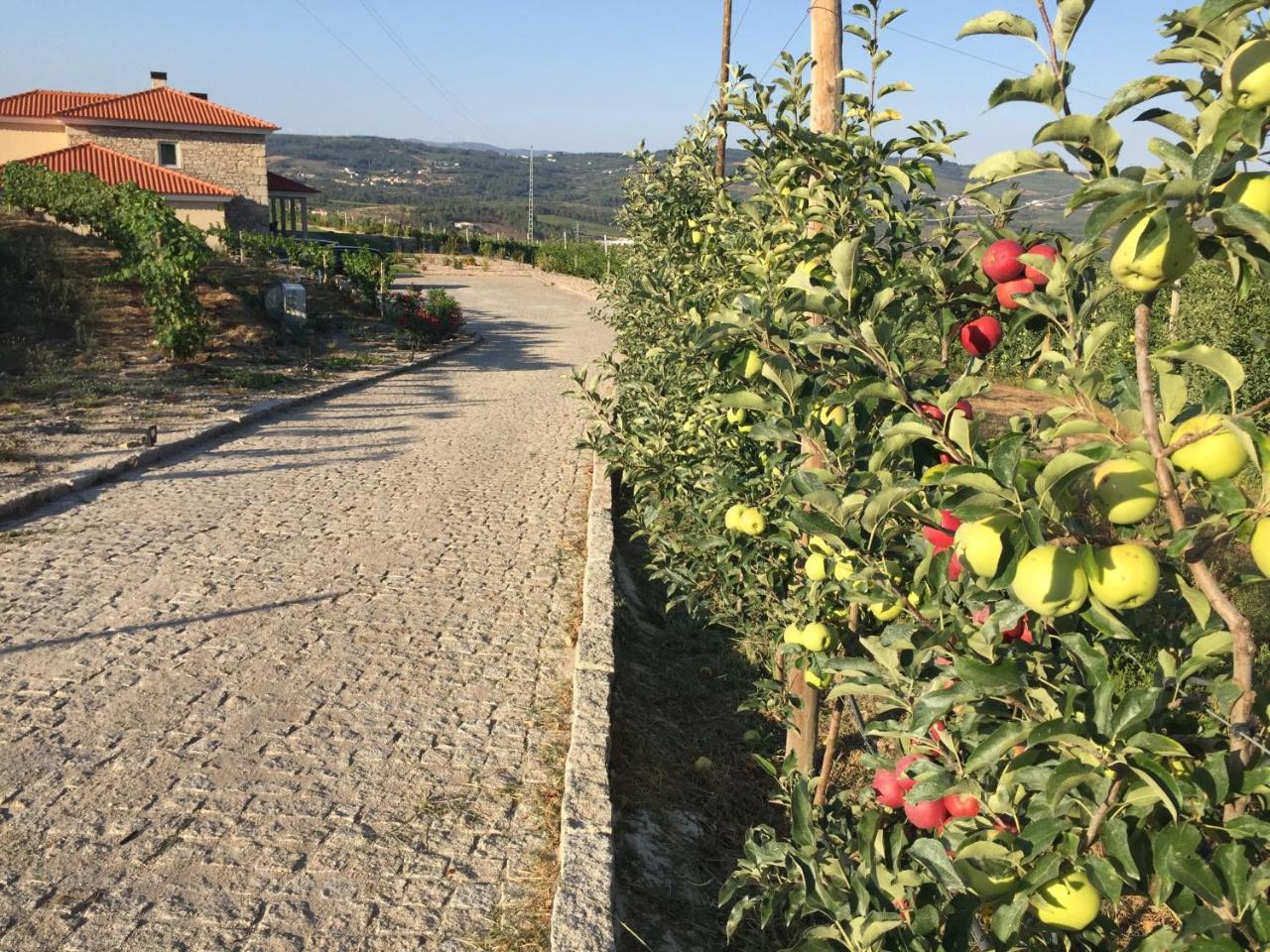 Quinta Bemboa Turismo Espaco Rural Aricera Luaran gambar