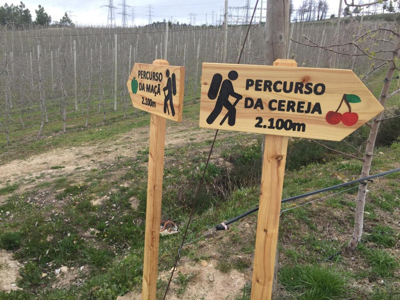 Quinta Bemboa Turismo Espaco Rural Aricera Luaran gambar
